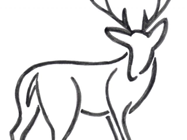 640x480 Simple Clipart Deer
