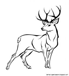 236x260 Collection Of 'female Deer Drawing' Download More Than Images