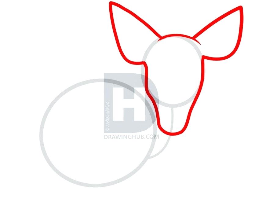 871x720 Easy Deer Drawing Fair Deer Drawing Easy Cartoon Deer Drawing