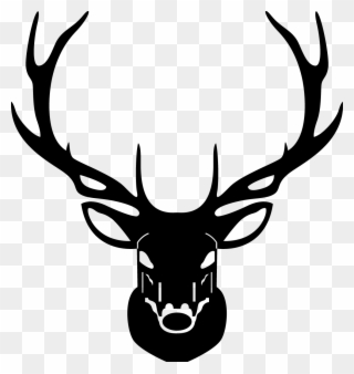 320x338 Elk White Tailed Deer Moose Drawing