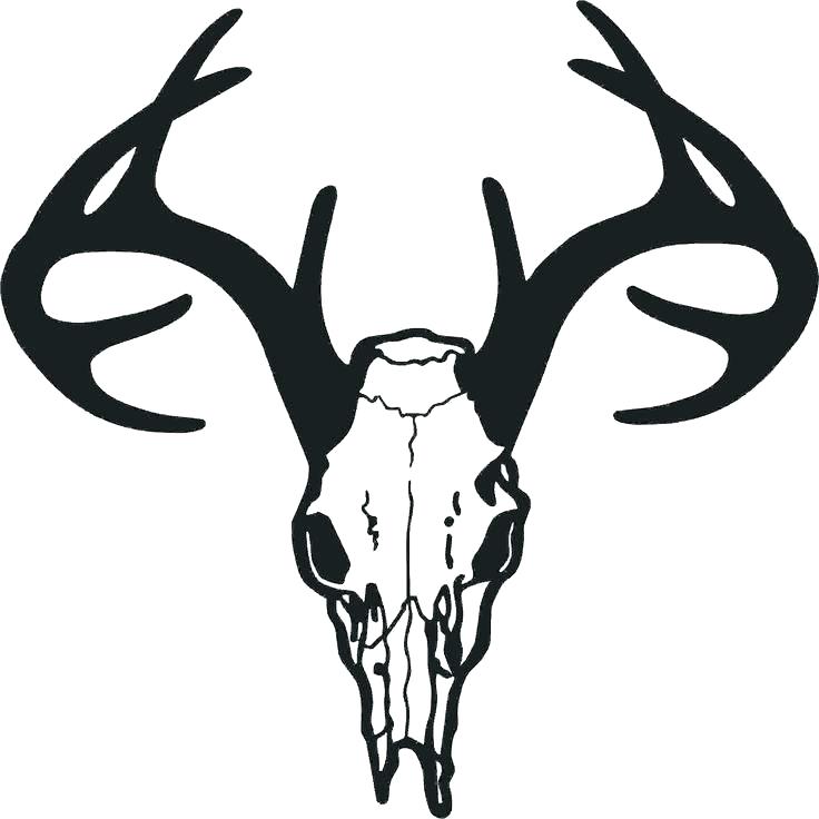 736x736 Free Deer Head Template Patterns Scroll Saw Medium Silhouette