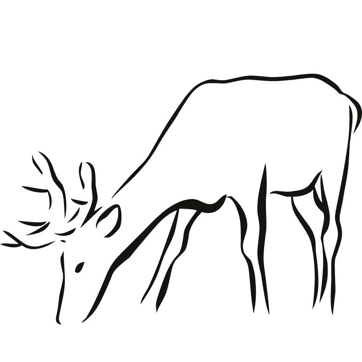 736x736 How To Draw A Simple Deer How To Draw Animals Deer Draw A Simple