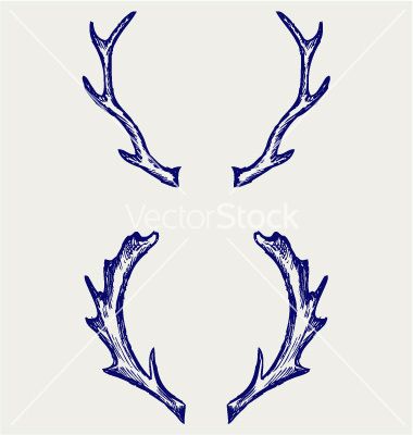 380x400 Deer Horns Vector