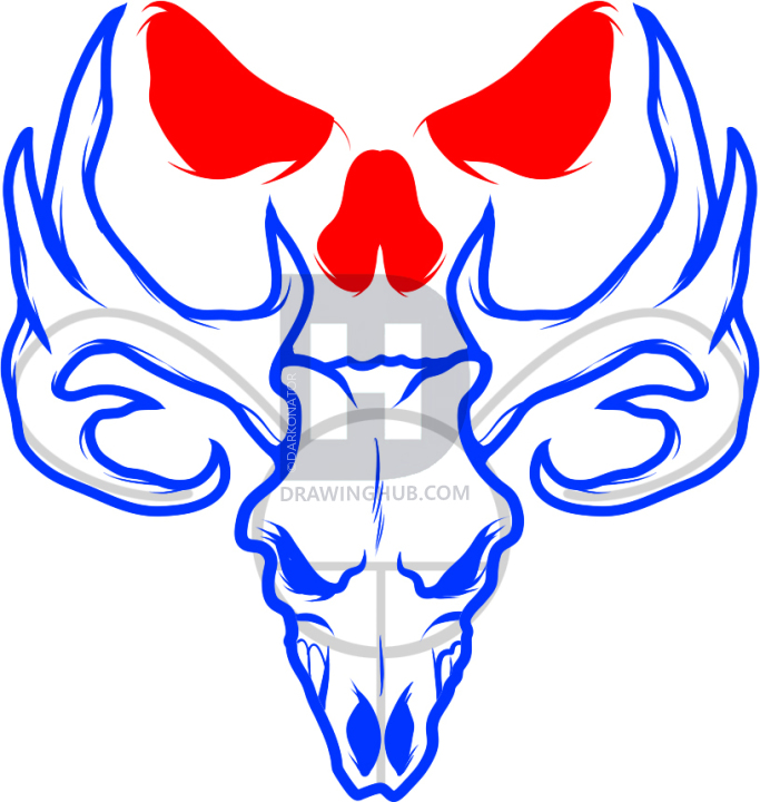 683x720 How To Draw A Deer Skull, Deer Skull Tattoo, Step