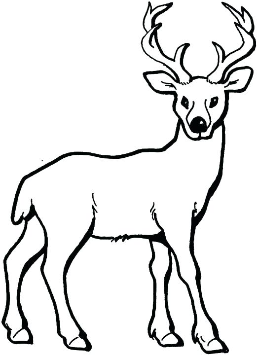 521x720 Simple Deer Drawing Simple Black And White Line Drawing Cartoon