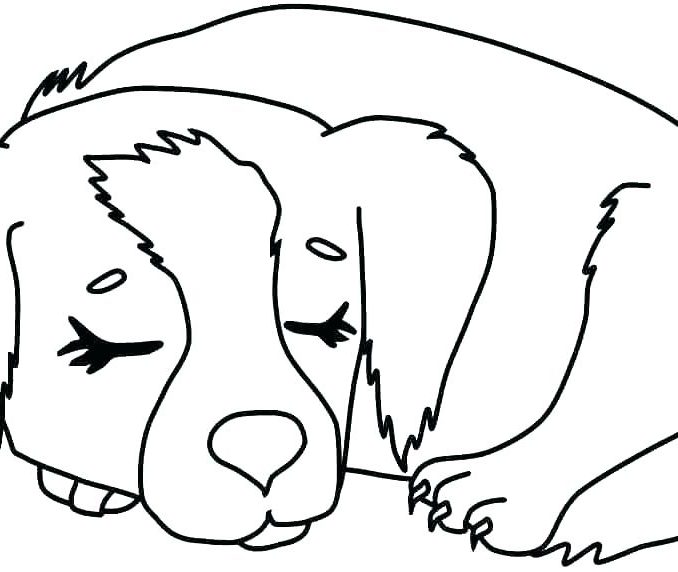 678x572 Dog Coloring Pages For Kids Simple Dog Drawing For Kids