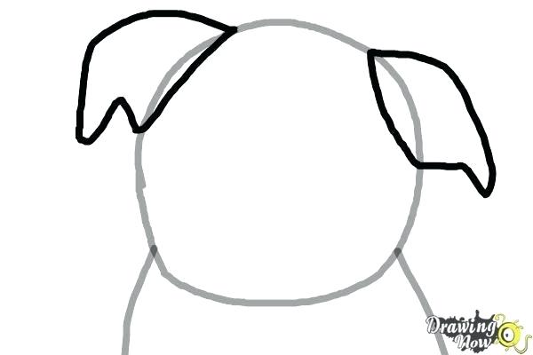 Simple Dog Face Drawing | Free download on ClipArtMag