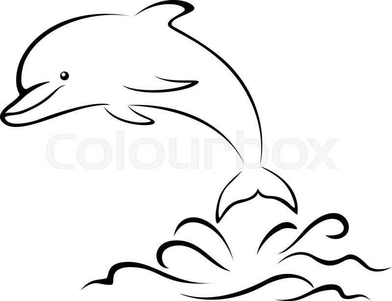 Simple Dolphin Drawing