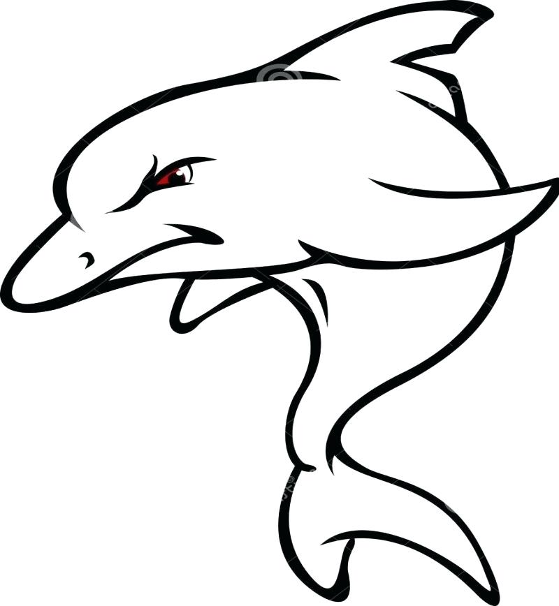 800x868 Dolphin Outline Drawing Dolphin Dolphin Fish Drawing Outline