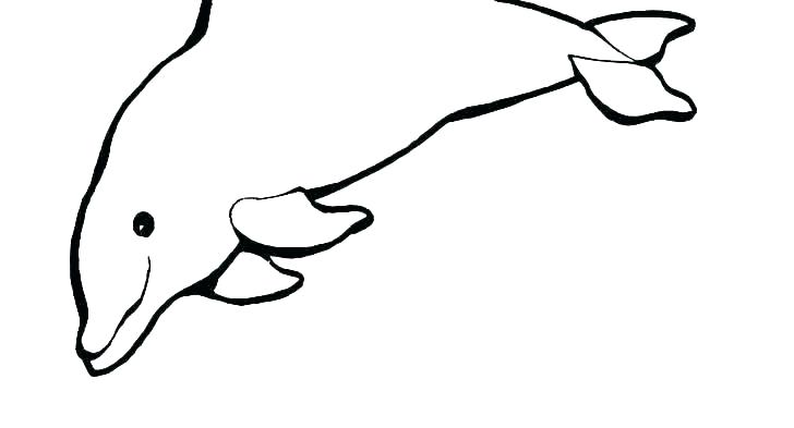 728x393 Dolphin Printable Simple Dolphin Coloring