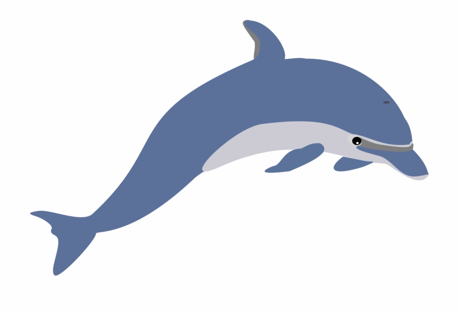 920x630 Dolphin Simple Drawing Png