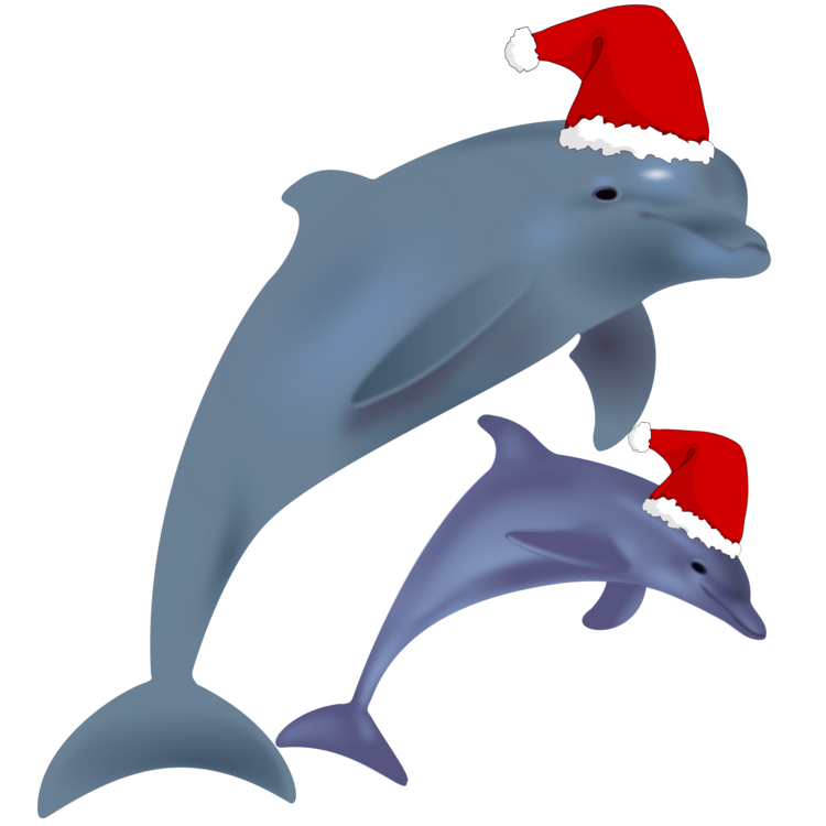 750x750 Drawing Dolphin Simple Huge Freebie! Download For Powerpoint