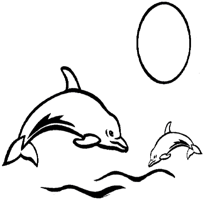 820x820 Huge Collection Of 'baby Dolphin Drawing' Download More Than