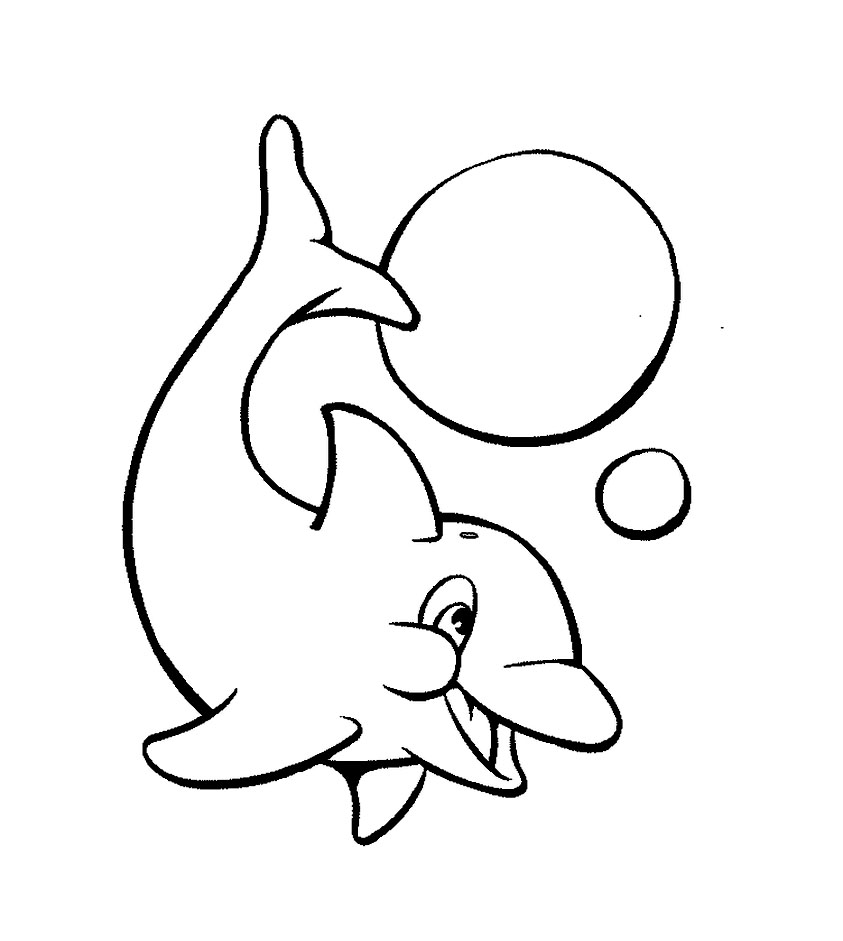 843x941 Very Simple Dolphin