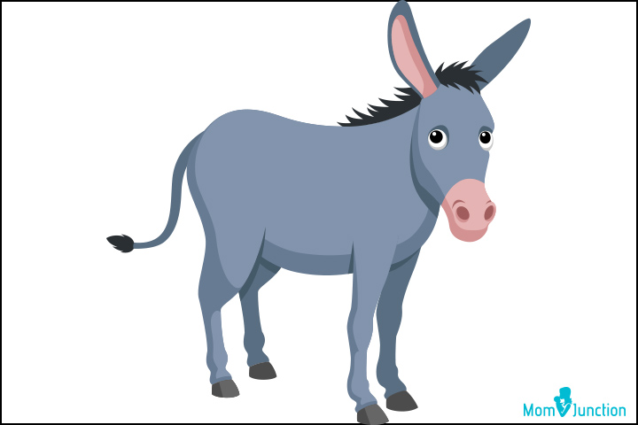 720x480 How To Draw A Donkey