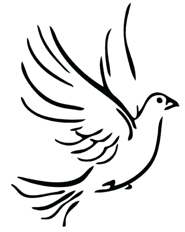 720x900 Dove Drawing Outline At Free For Personal Use Holy Spirit Images