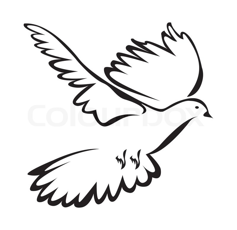 800x778 Dove Of Peace Simple Symbol Stock Vector Colourbox