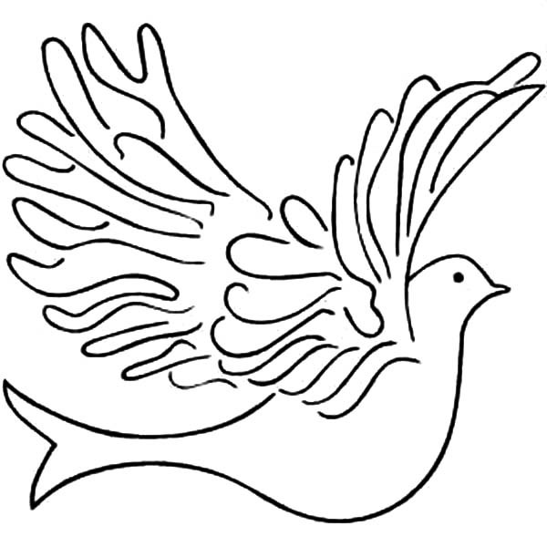 600x600 How To Draw A Dove Simple Dove Drawing