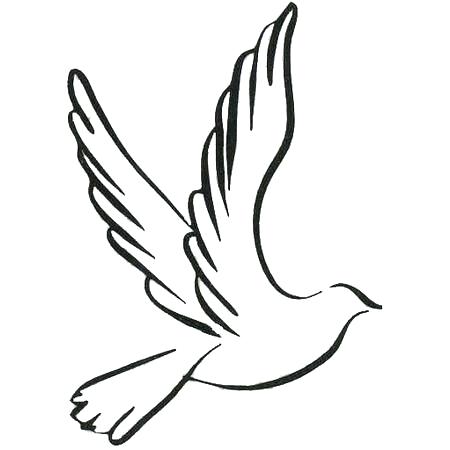 450x450 Dove Drawings
