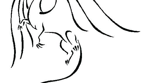 497x285 How To Draw A Simple Dragon Step