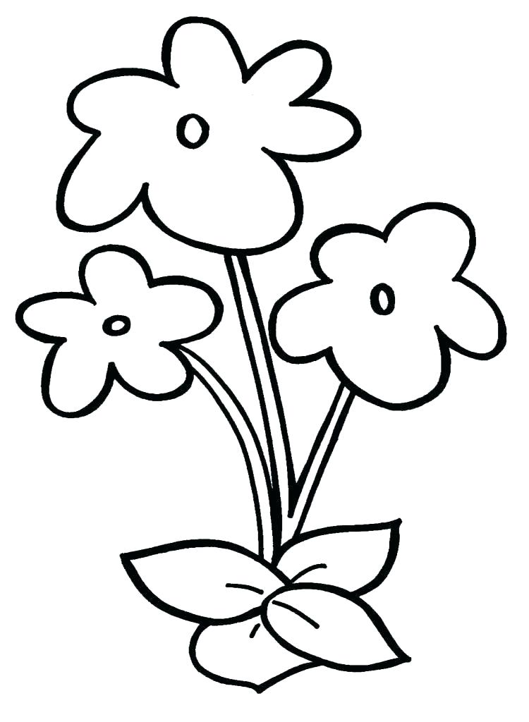750x1024 Easy Flower To Draw Easy Flower Drawings In Black And White