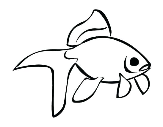 548x426 Simple Drawing Fish Simple Kid Preschool Coloring Pages Fish