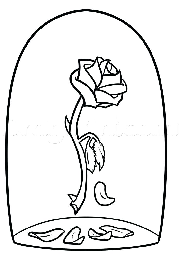 736x1055 Drawing A Rose For Beginners Best Rose Drawings Ideas Easy Rose
