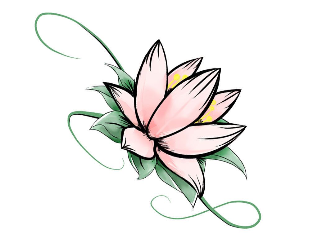 1024x768 Drawings Flower Lotus Simple Drawing Group