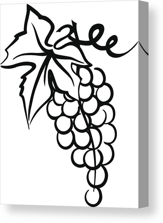 548x750 Bunch Of Grapes Simple Drawing With Leaf Swirly Vine Canvas Print