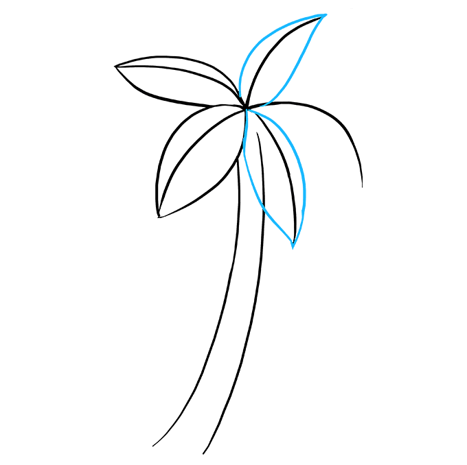 Simple Drawing Of A Palm Tree | Free download on ClipArtMag