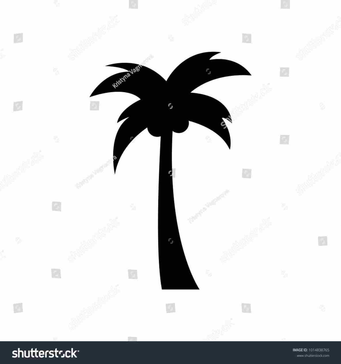 1185x1264 Realistic Simple Palm Tree Drawing Drawing Fine Art