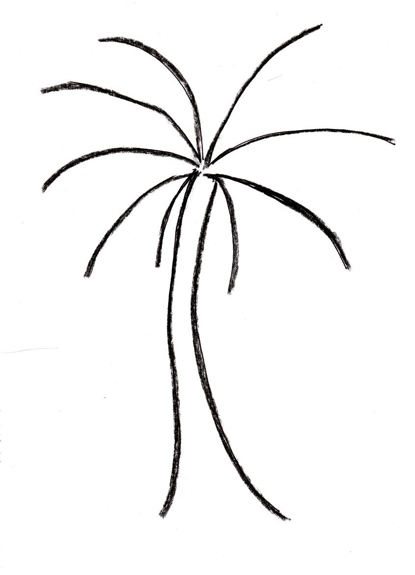 845x1171 You Can Create This Palm Tree Drawing In Just Four Easy Steps!