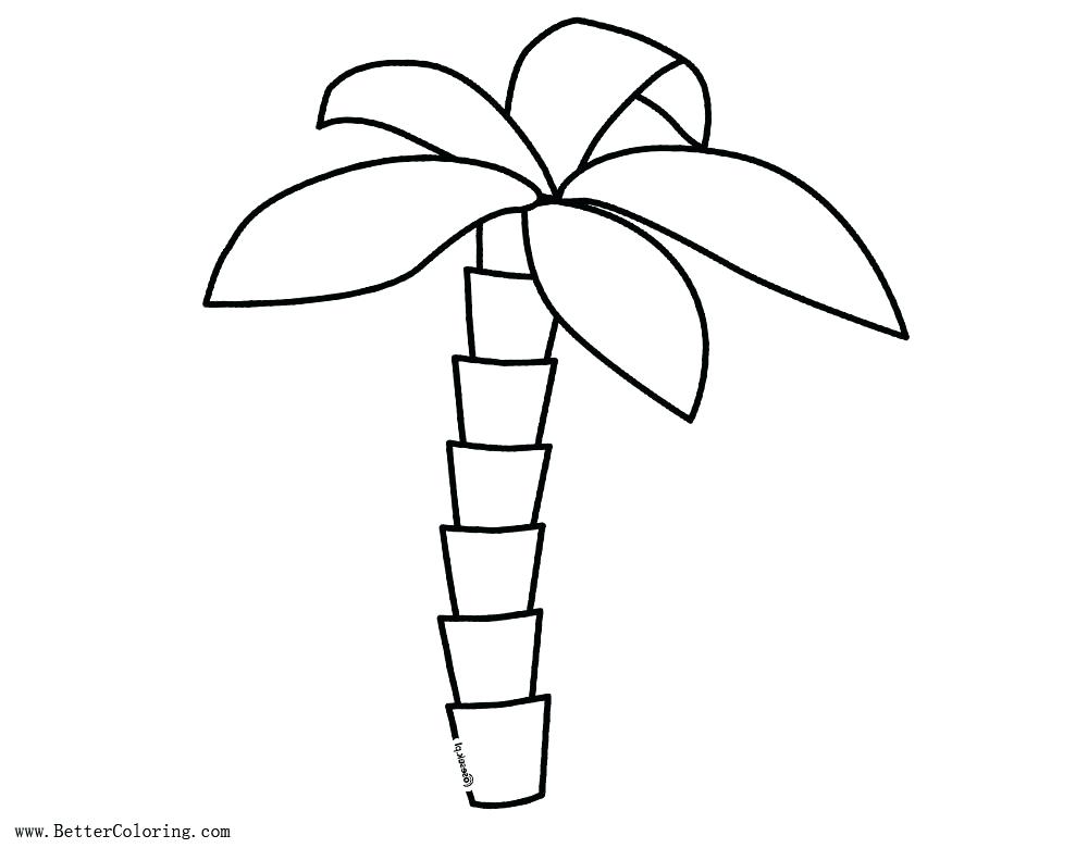 1000x780 Palm Tree Pictures Coloring Pages
