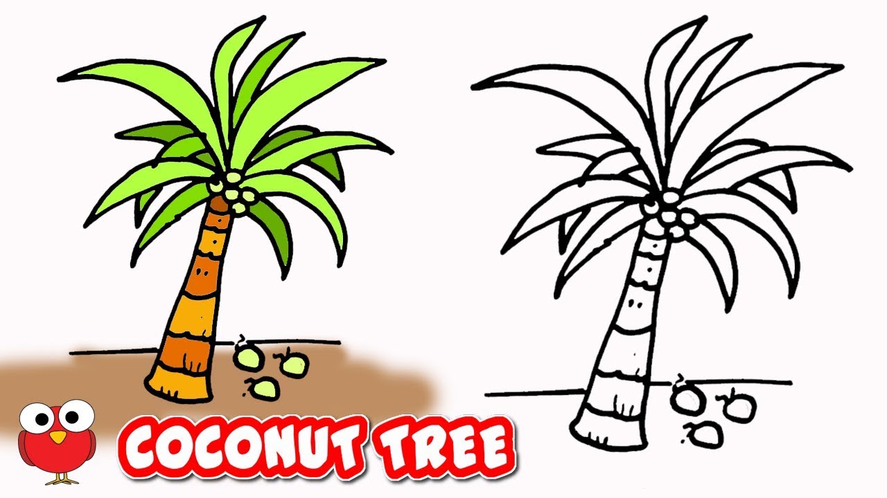 1280x720 Draw Coconut Tree Step