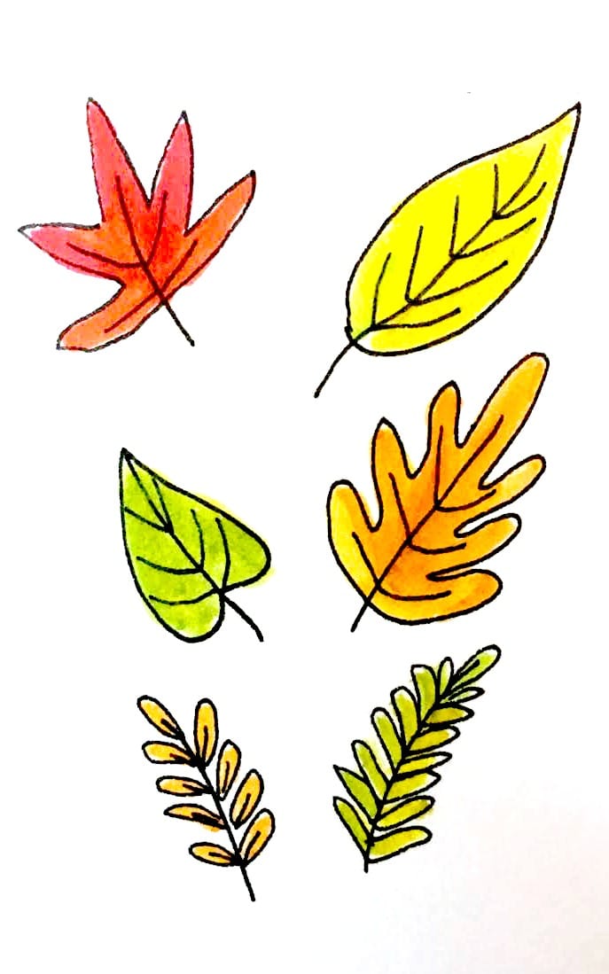 687x1099 Ways To Draw Fall Leaves Dawn Nicole