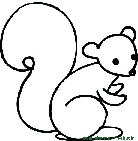 460x470 Simple Drawing Of A Squirrel Squirrel Drawing Easy Step