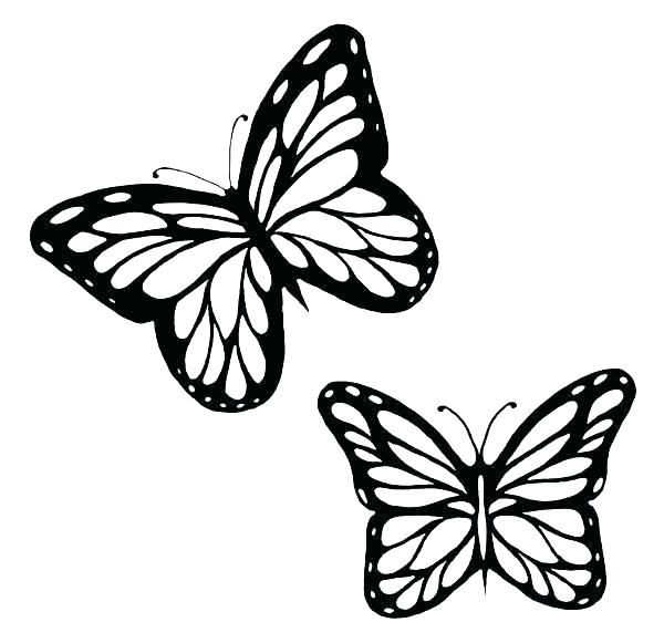 600x581 Butterfly Print Out Simple Blank Butterfly Template Printable