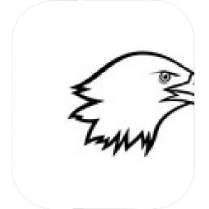 300x300 eagle head icon vector simple elegant orangiausa