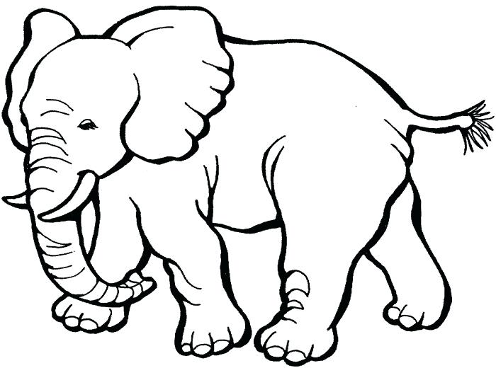 700x520 Simple Elephant Drawing