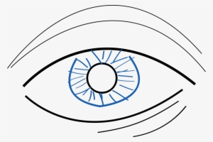 300x200 googly eye png, transparent googly eye png image free download