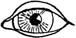 253x128 How To Draw Basic Human Eyes With Simple Drawing Lesson