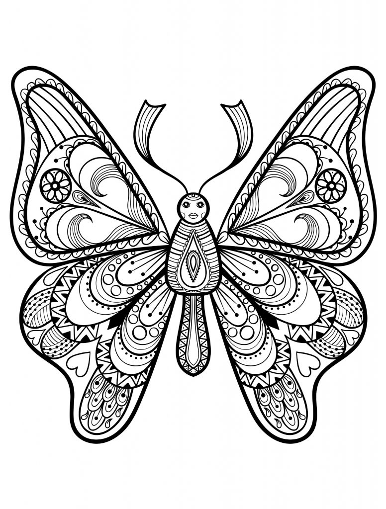 776x1024 Wings Drawing Tumblr Butterfly Step