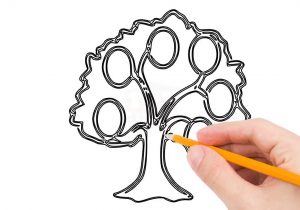 Simple Family Tree Drawing | Free download on ClipArtMag