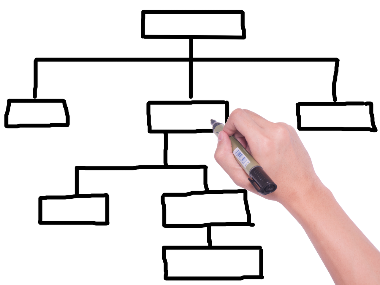 1280x961 How To Draw A Simple Family Tree Find Families History