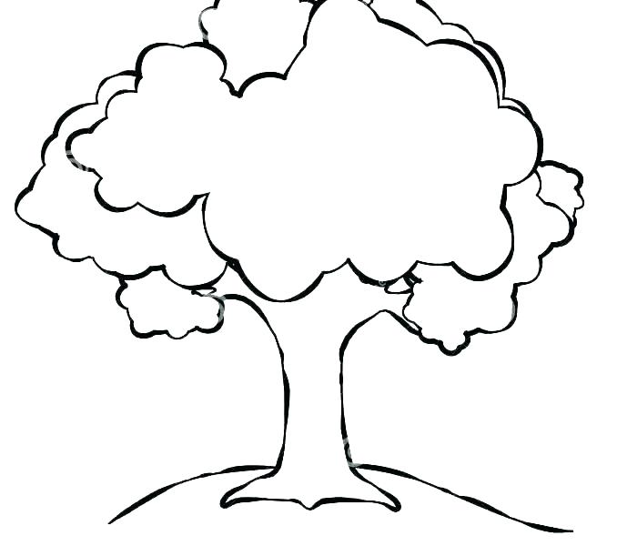 Simple Family Tree Drawing | Free download on ClipArtMag