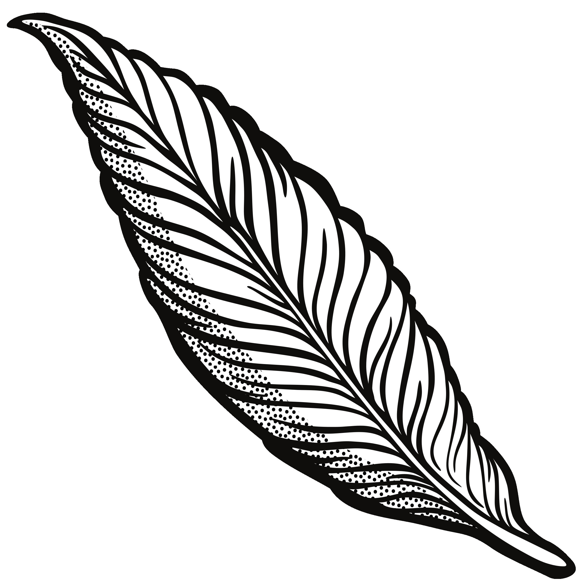 2400x2400 Quill Clipart Simple Feather Indian Feather Clipart