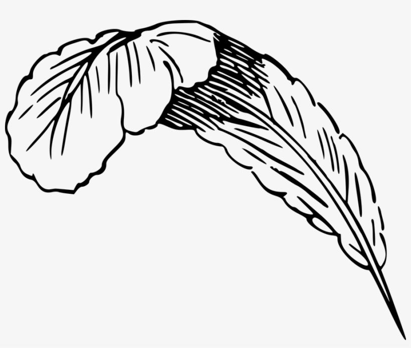 820x695 Simple Angel Wings Drawing Buy Clip Art