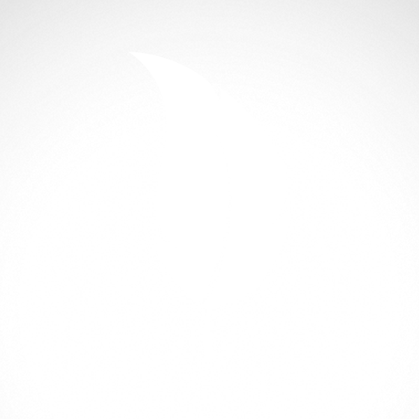 600x600 Simple Color Vinyl Feather Stickers Factory