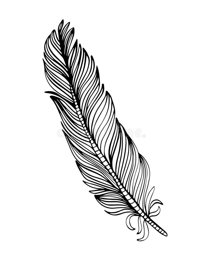 710x900 Collection Of 'feather Line Drawing' Download More Than Images