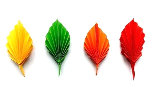 600x400 How To Draw A Simple Leaf